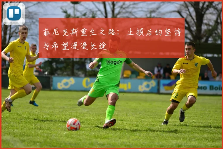 菲尼克斯重生之路：止损后的坚持与希望漫漫长途